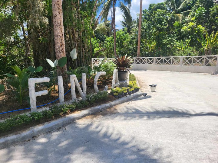 Farm Lot with many fruit bearing trees in Alfonso near Tagaytay