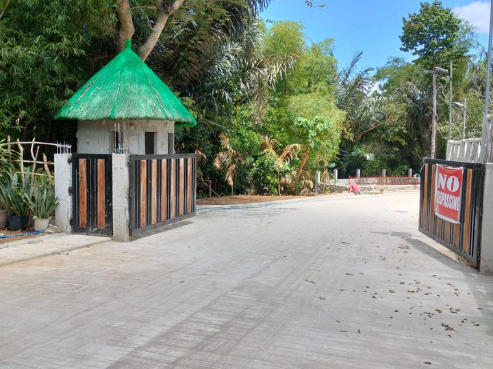 Farm lot for sale near the road with cold weather