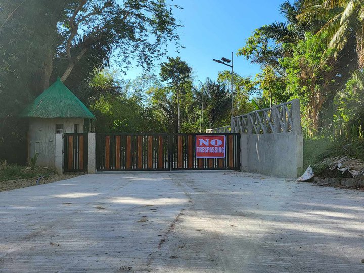 Farm lot with fruits bearing for sale with cemented road