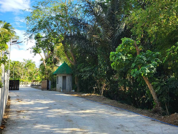 Lot for Sale 500 sqm at Brgy.Kaytitinga Alfonso Cavite