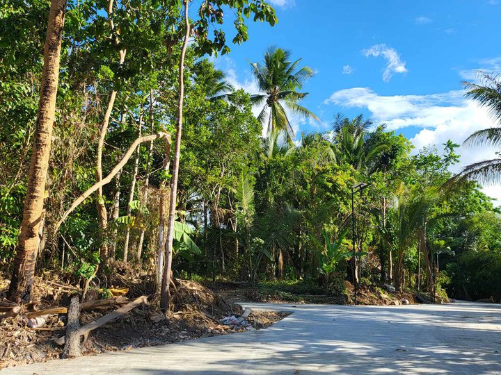 Farm lot near Tagaytay with fruits bearing