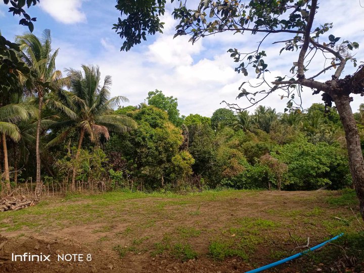 500 sqm Residential Farm For Sale in Alfonso Cavite-Private lot