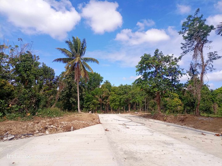 Lot for Sale 500 sqm Kaytitinga Alfonso Cavite