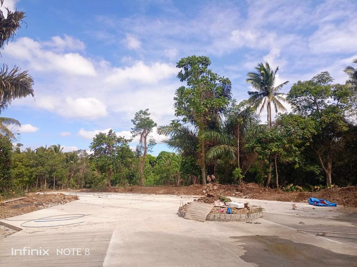 AFFORDABLE FARM LOT FOR SALE IN ALFONSO CAVITE