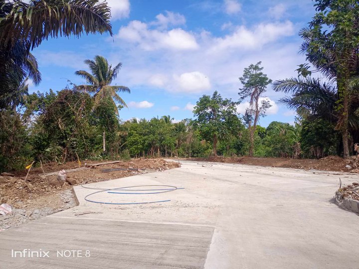 500 sqm and 1000 sqm farm lot for sale in Alfonso Cavite-malamig