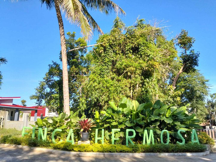 Lot For Sale 270 sqm Tagaytay Climate with fruit bearing trees Located at Alfonso Cavite