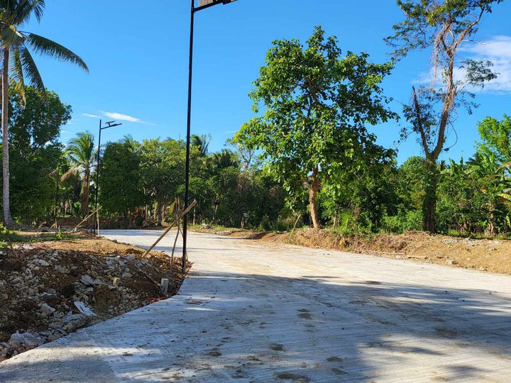 Affordable Farm lot for sale in Alfonso Cavite