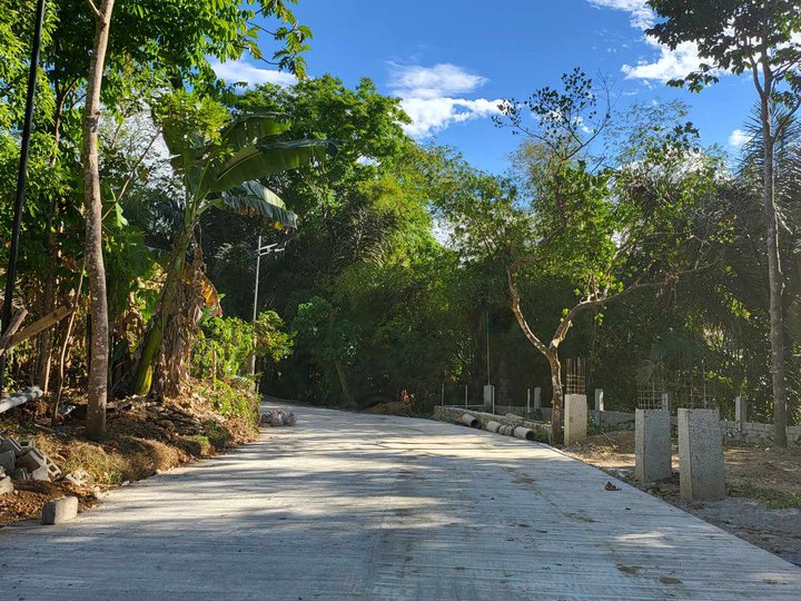 515 sqm Farm Lot For Sale in Alfonso Cavite near Twin Lakes
