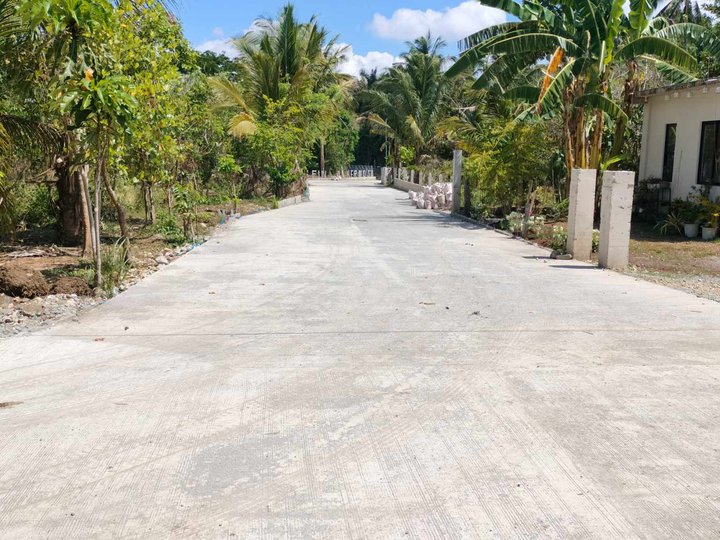 Lot for sale at Alfonso Cavite with cemented road