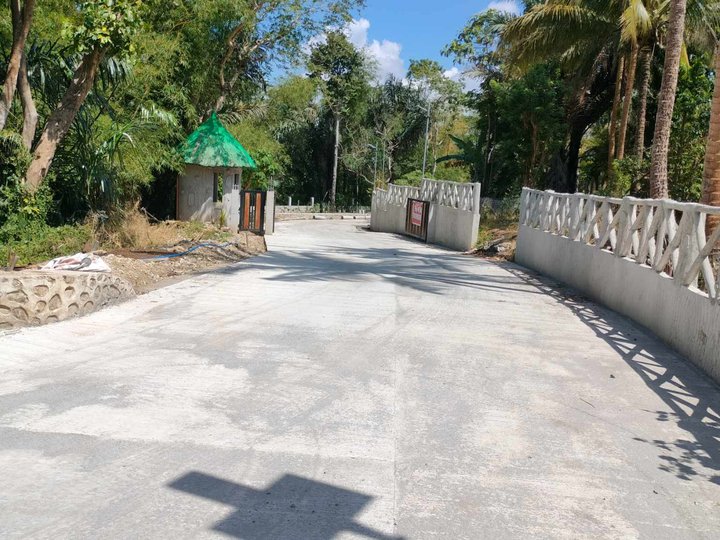 Lot for sale-244 sqm only located in Kaytitinga Alfonso Cavite