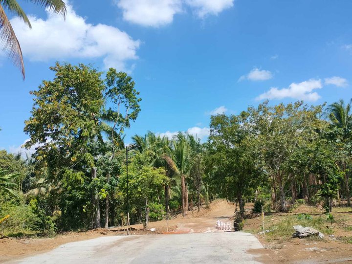 Farm lot for sale in Kaytitinga II Alfonso Cavite