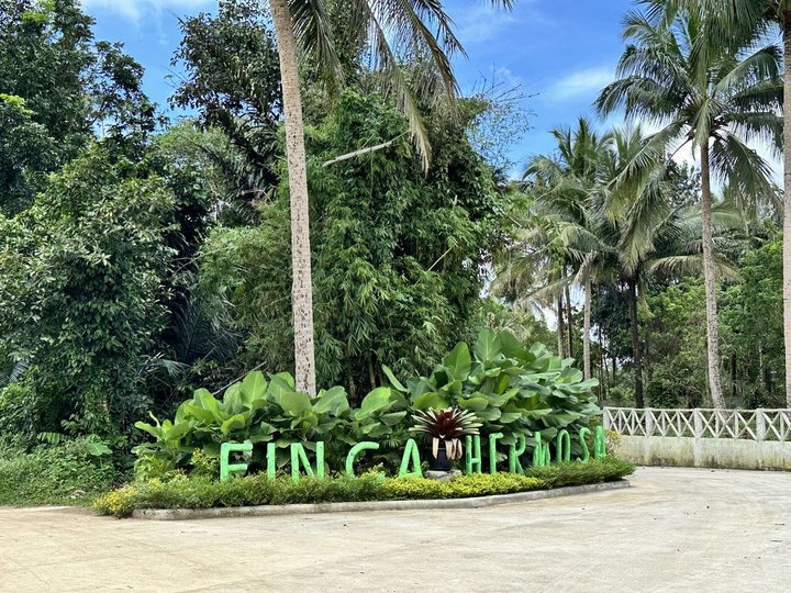 Farm lot-Farmland for sale in Alfonso Cavite