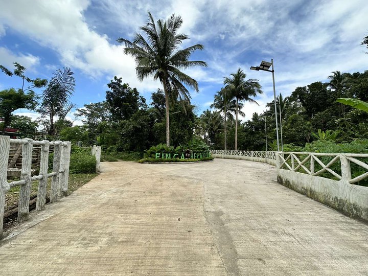 Farm lot 244 sqm only for sale in Alfonso Cavite