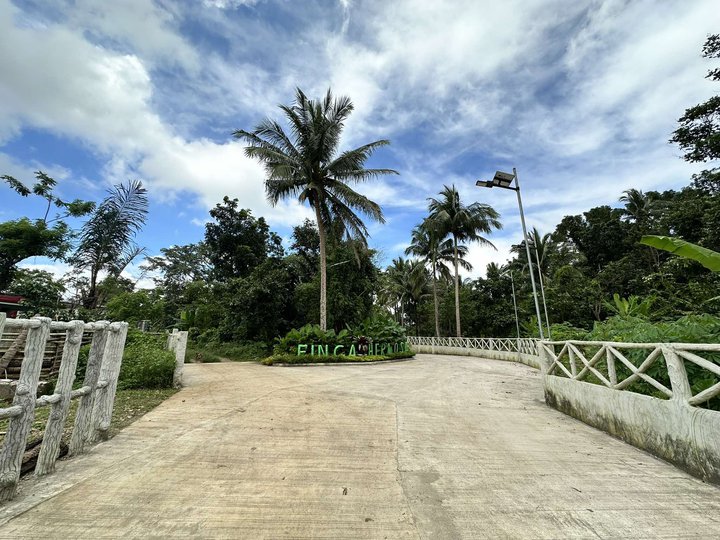 Affordable farm lot for sale in Alfonso Cavite