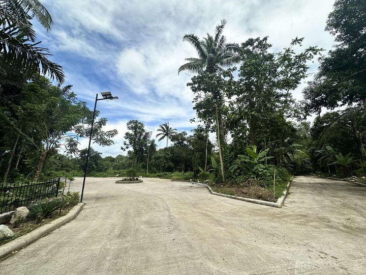 Farm lot for sale with fruits bearing, good for retirement home