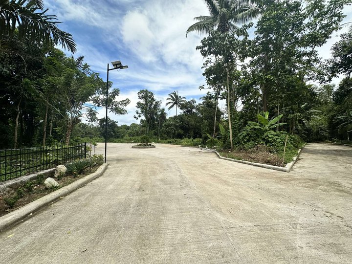 244 sqm -Farm lot for sale near Tagaytay