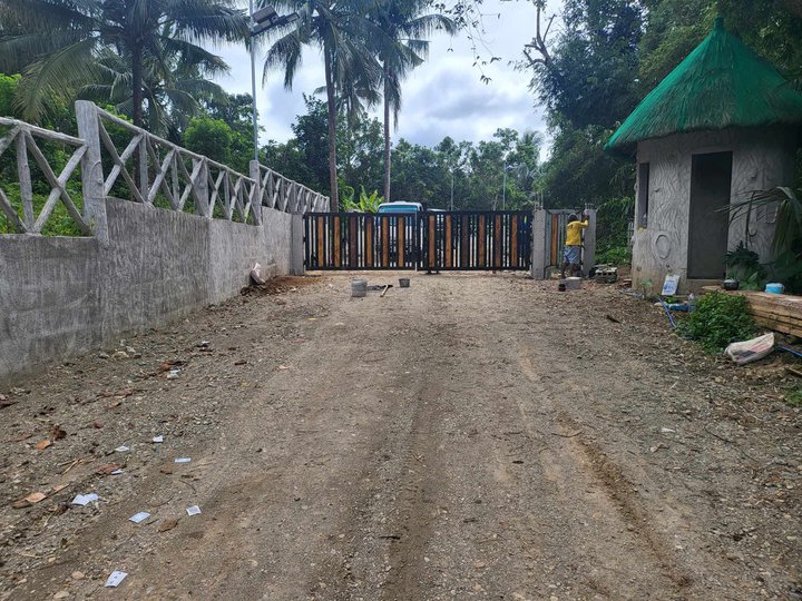 Farm lot in Cavite for sale with good location [Lot 🚜] (June 2024) in