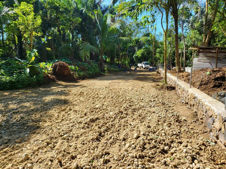Residential farm lot for sale-800 meters away from Tagaytay road