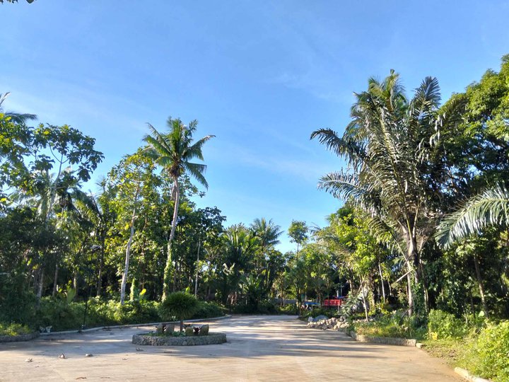 FARM LOT FOR SALE WITH COLD WEATHER LIKE TAGAYTAY