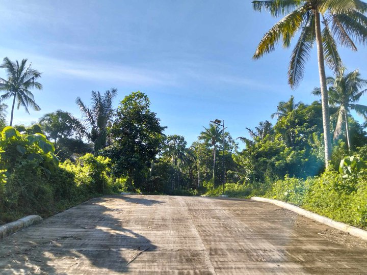 Farm lot with fruits bearing for sale good for retirement home