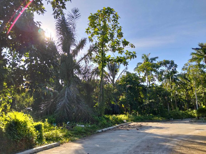 Farm lot for sale with fruits bearing near Tagaytay-Private lot