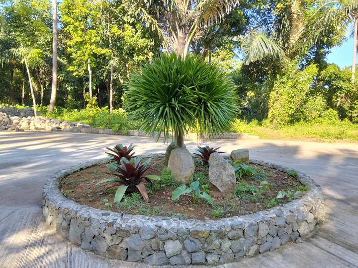 Farm Lot with many fruit bearing trees in Alfonso near Tagaytay