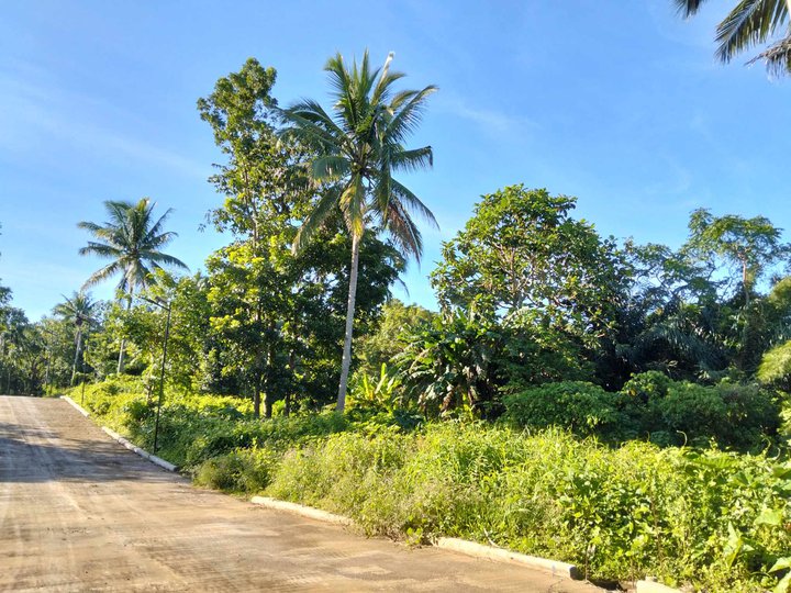 FARM LOT WITH FRUITS BEARING