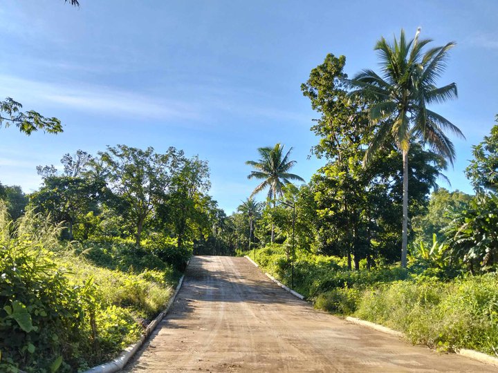 500 sqm residential farm lot for sale in Alfonso Cavite near Tagaytay