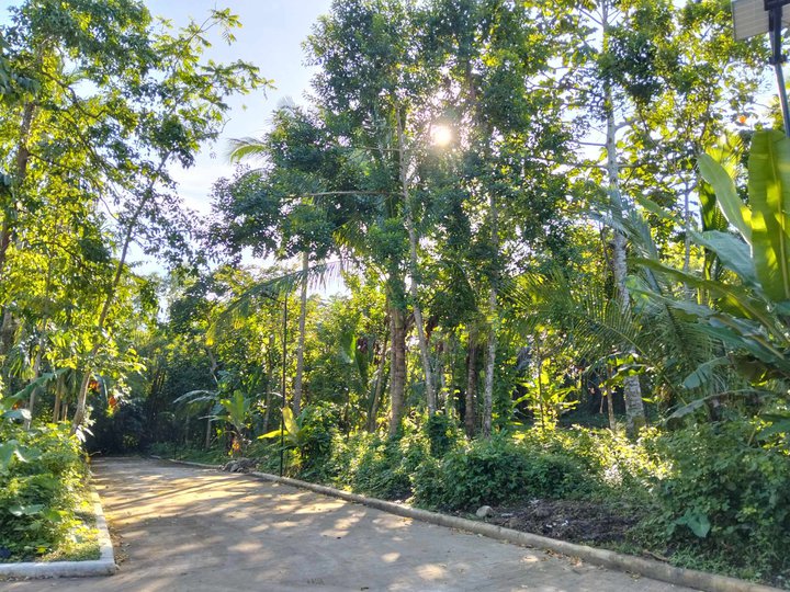 506 sqm Residential Farm For Sale in Alfonso Cavite -Tagaytay weather