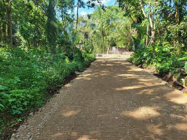 Farm lot for sale with cool weather