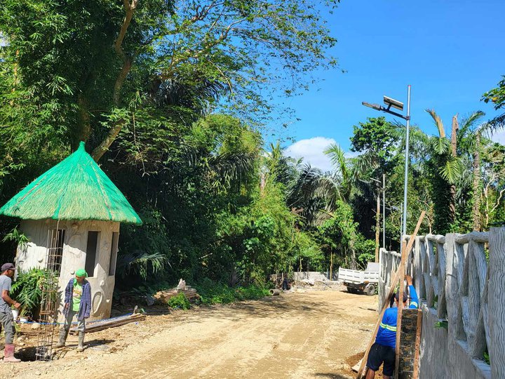 Titled farm lot for sale in Alfonso Cavite