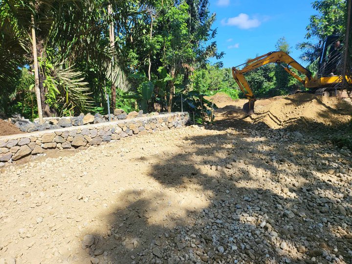 Farm lot with fruits bearing for sale