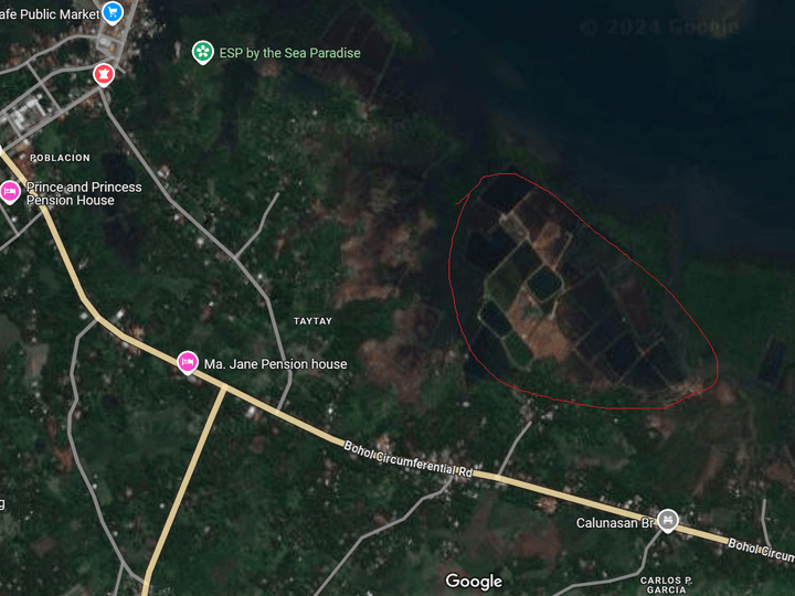 Contact me /0995//393//9227// Clean titled 10 hectares Fishpond Lot for sale in Getafe, Bohol