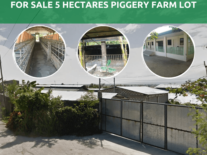 5 hectares Piggery Farm Lot For Sale in Bataan