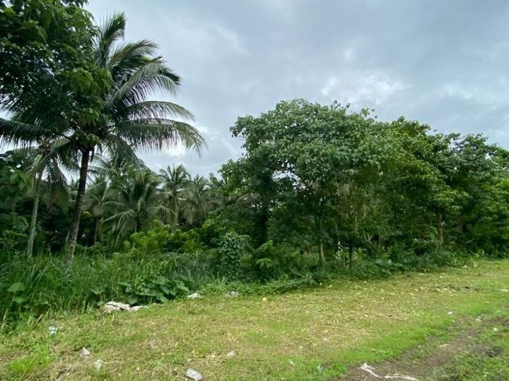 FOR SALE: Lipa-Alaminos Road, 40,290 sqm. Agricultural Lot