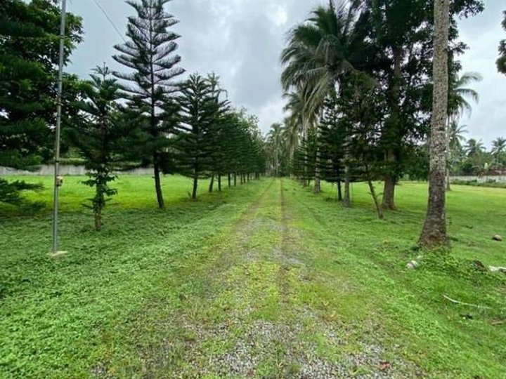 FOR SALE: Lumbang, Lipa City, Batangas Province, Agricultural Lot