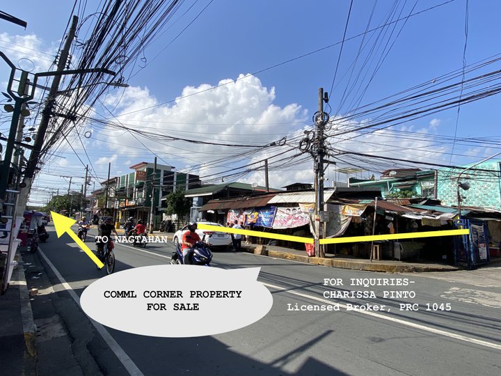 226.3 sqm Commercial Corner Lot For Sale in Pandacan Manila