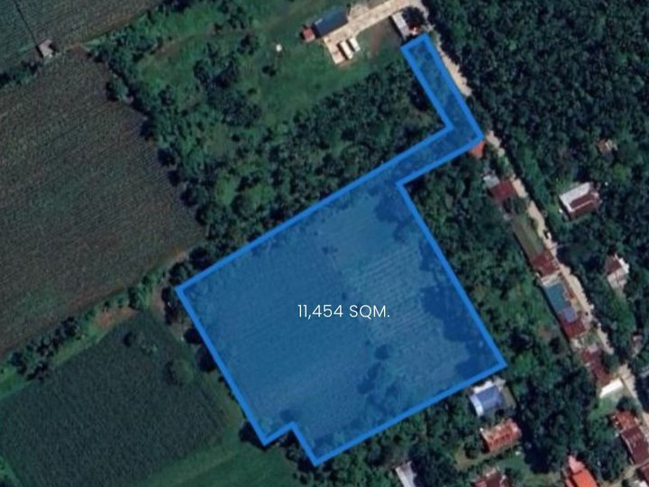 FOR SALE: Santo Tomas, Batangas, 11,454 sqm. Agricultural Lot