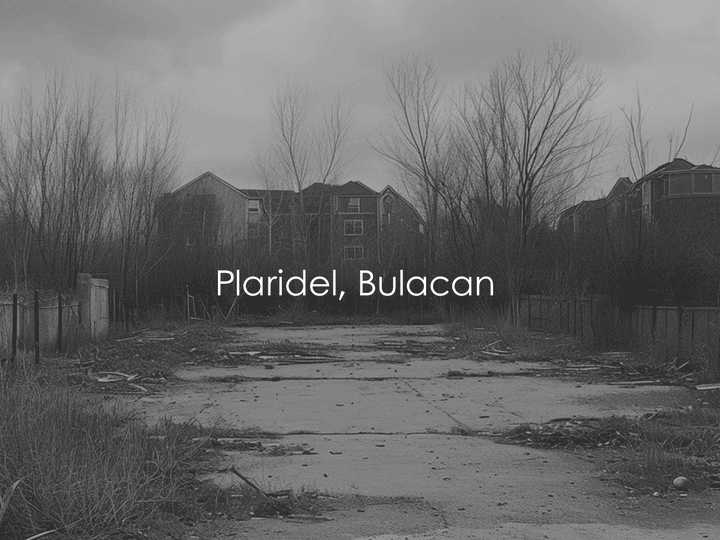 12,500/SQM 18,000/SQM Vacant Lot for Sale in Plaridel, Bulacan