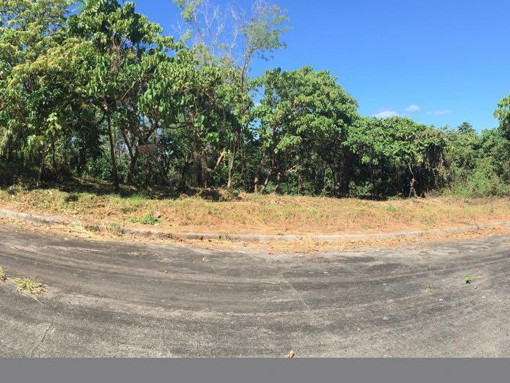 Residential Lot For Sale in Antipolo Rizal Forest Hills Eastland
