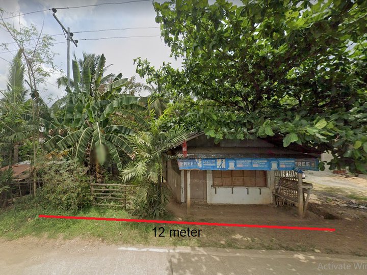 3774 sqm Residential/Farm Lot For Sale in Brgy. Bayanga
