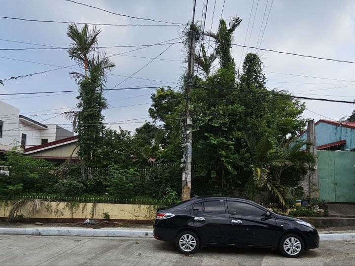 540 sqm Residential Lot for Sale Ideal Subdivision  Quezon city