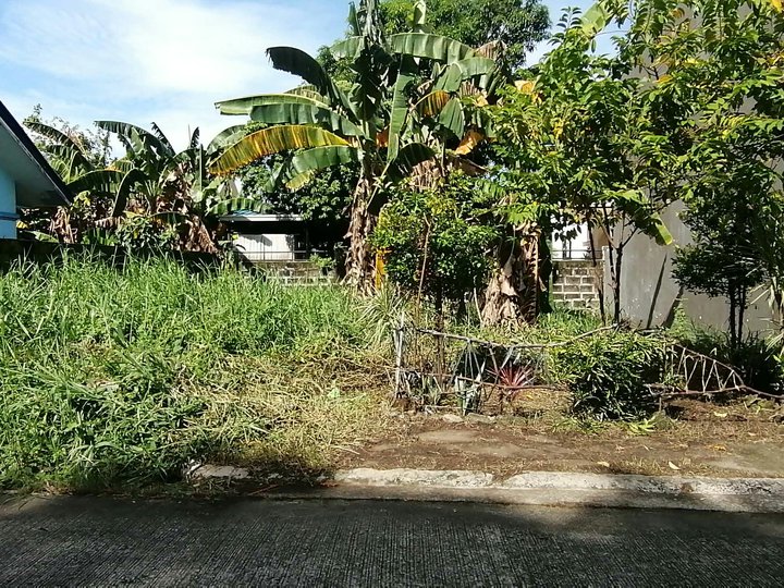 130 sqm Residential Lot for Sale [Lots 🚜] (October 2026) in Malolos ...