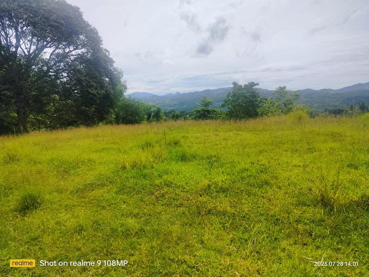 Lot for sale overlooking and flat terrain at Guba Cebu City 2.5m nego