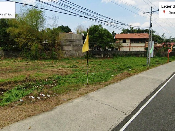 Space for Commercial Lot along Provincial Road in Alaminos