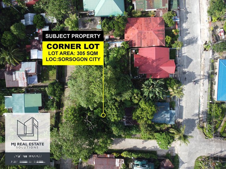 305 sqm Residential Corner Lot For Sale in Sorsogon City