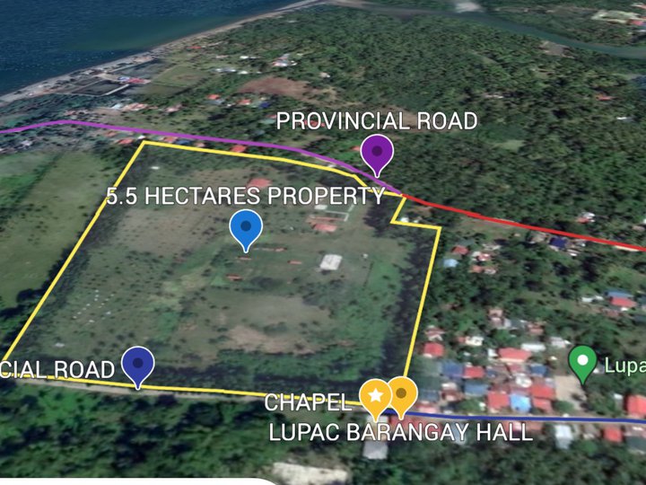 5.5 hectares VACANT LOT For Sale in Boac, Marinduque.
