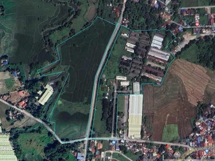 10 hectares Agri Farm Piggery For Sale in Pandi Bulacan for Housing