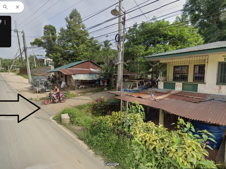 4,833 sq.m. Lot for Sale by the Owner in Majayjay, Laguna