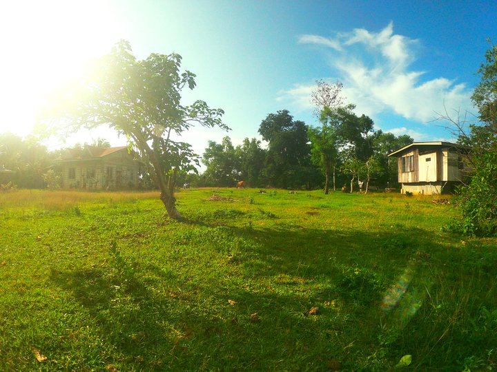 Residential lot in Tinago, Dauis, Bohol